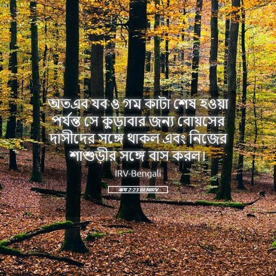 Picture 05 - ৰূথ 2:23 BENIRV - অতএব যব ও গম কাটা - Bible Verse Picture