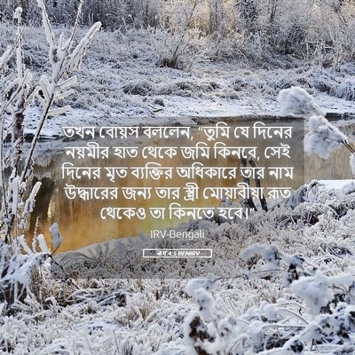 Picture 05 - ৰূথ 4:5 BENIRV - তখন বোয়স বললেন, - Bible Verse Picture