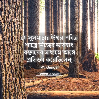 Picture 05 - ৰোমীয়া 1:2 BENIRV - যে সুসমাচার ঈশ্বর - Bible Verse Picture