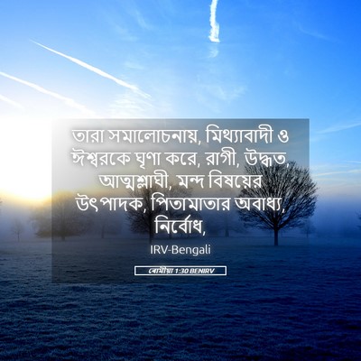 Picture 05 - ৰোমীয়া 1:30 BENIRV - তারা সমালোচনায়, - Bible Verse Picture