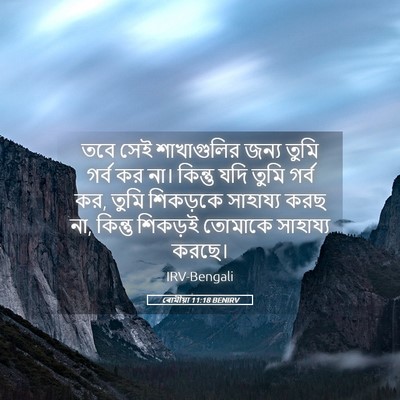 Picture 05 - ৰোমীয়া 11:18 BENIRV - তবে সেই শাখাগুলির - Bible Verse Picture