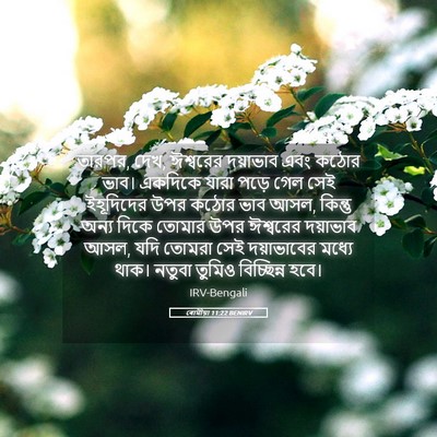 Picture 05 - ৰোমীয়া 11:22 BENIRV - তারপর, দেখ, ঈশ্বরের - Bible Verse Picture