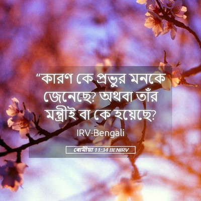 Picture 05 - ৰোমীয়া 11:34 BENIRV - “কারণ কে প্রভুর - Bible Verse Picture