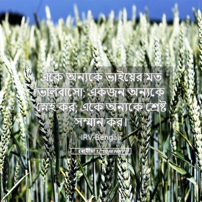 Picture 05 - ৰোমীয়া 12:10 BENIRV - একে অন্যকে - Bible Verse Picture