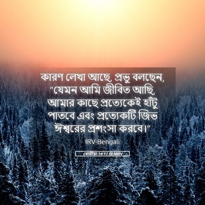 Picture 05 - ৰোমীয়া 14:11 BENIRV - কারণ লেখা আছে, - Bible Verse Picture