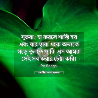 Picture 05 - ৰোমীয়া 14:19 BENIRV - সুতরাং যা করলে - Bible Verse Picture