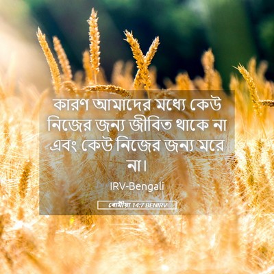 Picture 05 - ৰোমীয়া 14:7 BENIRV - কারণ আমাদের মধ্যে - Bible Verse Picture
