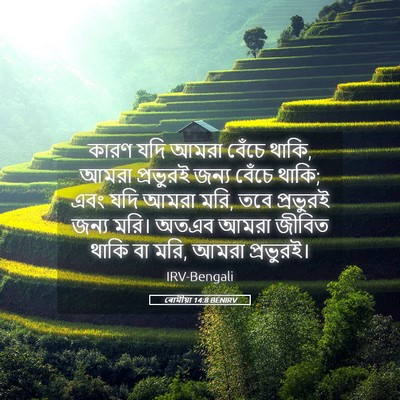 Picture 05 - ৰোমীয়া 14:8 BENIRV - কারণ যদি আমরা - Bible Verse Picture