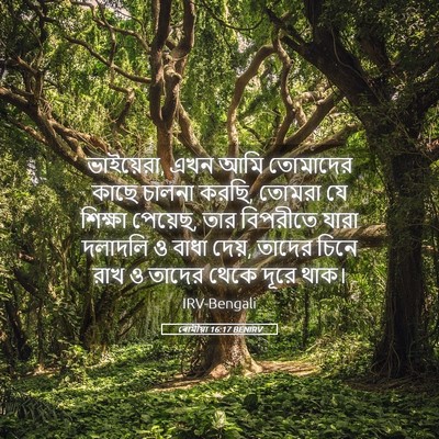 Picture 05 - ৰোমীয়া 16:17 BENIRV - ভাইয়েরা, এখন আমি - Bible Verse Picture