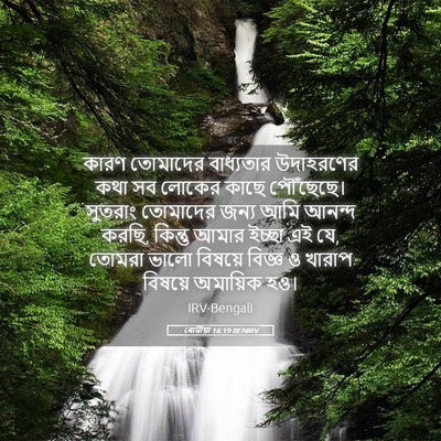 Picture 05 - ৰোমীয়া 16:19 BENIRV - কারণ তোমাদের - Bible Verse Picture