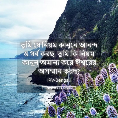 Picture 05 - ৰোমীয়া 2:23 BENIRV - তুমি যে নিয়ম - Bible Verse Picture