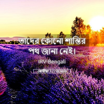 Picture 05 - ৰোমীয়া 3:17 BENIRV - তাদের কোনো - Bible Verse Picture