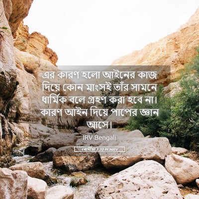 Picture 05 - ৰোমীয়া 3:20 BENIRV - এর কারণ হলো আইনের - Bible Verse Picture