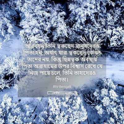 Picture 05 - ৰোমীয়া 4:12 BENIRV - আর যেন তিনি - Bible Verse Picture