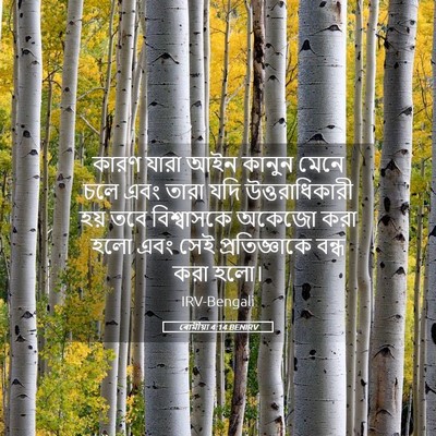 Picture 05 - ৰোমীয়া 4:14 BENIRV - কারণ যারা আইন - Bible Verse Picture