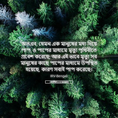 Picture 05 - ৰোমীয়া 5:12 BENIRV - অতএব, যেমন এক - Bible Verse Picture