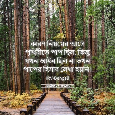 Picture 05 - ৰোমীয়া 5:13 BENIRV - কারণ নিয়মের আগে - Bible Verse Picture