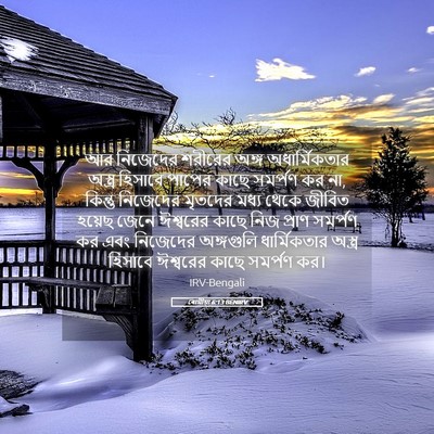 Picture 05 - ৰোমীয়া 6:13 BENIRV - আর নিজেদের শরীরের - Bible Verse Picture
