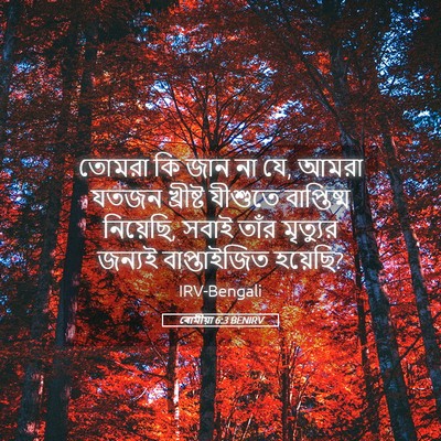 Picture 05 - ৰোমীয়া 6:3 BENIRV - তোমরা কি জান না যে, - Bible Verse Picture