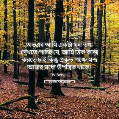 Picture 05 - ৰোমীয়া 7:21 BENIRV - অতএব আমি একটা মূল - Bible Verse Picture