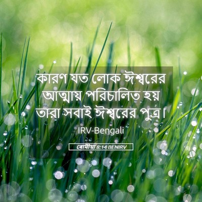 Picture 05 - ৰোমীয়া 8:14 BENIRV - কারণ যত লোক - Bible Verse Picture