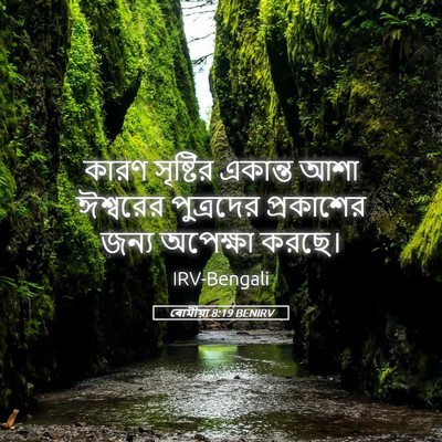Picture 05 - ৰোমীয়া 8:19 BENIRV - কারণ সৃষ্টির - Bible Verse Picture