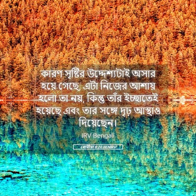 Picture 05 - ৰোমীয়া 8:20 BENIRV - কারণ সৃষ্টির - Bible Verse Picture