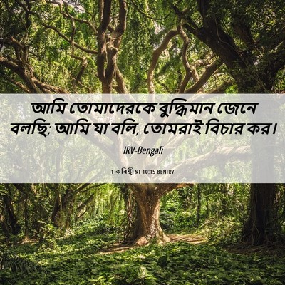 Picture 06 - 1 কৰিন্থীয়া 10:15 BENIRV - আমি তোমাদেরকে - Bible Verse Picture