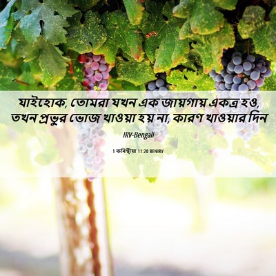 Picture 06 - 1 কৰিন্থীয়া 11:20 BENIRV - যাইহোক, তোমরা যখন - Bible Verse Picture