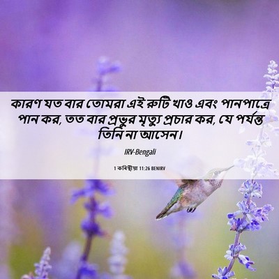 Picture 06 - 1 কৰিন্থীয়া 11:26 BENIRV - কারণ যত বার তোমরা - Bible Verse Picture