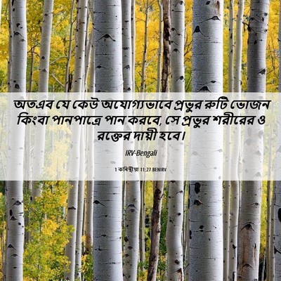 Picture 06 - 1 কৰিন্থীয়া 11:27 BENIRV - অতএব যে কেউ - Bible Verse Picture