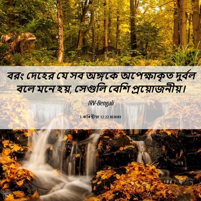 Picture 06 - 1 কৰিন্থীয়া 12:22 BENIRV - বরং দেহের যে সব - Bible Verse Picture