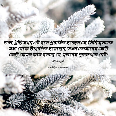 Picture 06 - 1 কৰিন্থীয়া 15:12 BENIRV - ভাল, খ্রীষ্ট যখন এই - Bible Verse Picture
