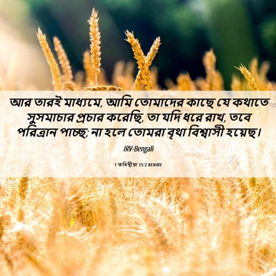 Picture 06 - 1 কৰিন্থীয়া 15:2 BENIRV - আর তারই মাধ্যমে, - Bible Verse Picture