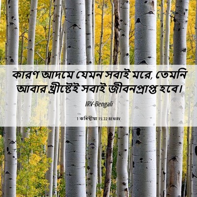 Picture 06 - 1 কৰিন্থীয়া 15:22 BENIRV - কারণ আদমে যেমন - Bible Verse Picture