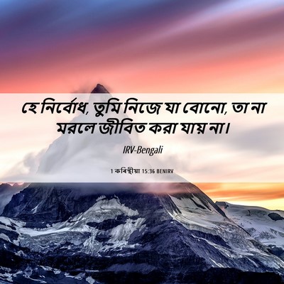 Picture 06 - 1 কৰিন্থীয়া 15:36 BENIRV - হে নির্বোধ, তুমি - Bible Verse Picture