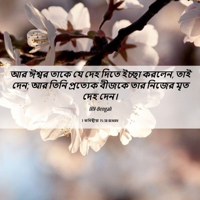Picture 06 - 1 কৰিন্থীয়া 15:38 BENIRV - আর ঈশ্বর তাকে যে - Bible Verse Picture