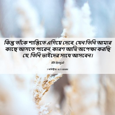 Picture 06 - 1 কৰিন্থীয়া 16:11 BENIRV - কিন্তু তাঁকে - Bible Verse Picture