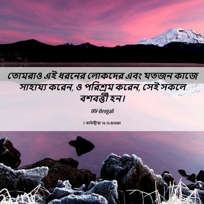 Picture 06 - 1 কৰিন্থীয়া 16:16 BENIRV - তোমরাও এই ধরনের - Bible Verse Picture