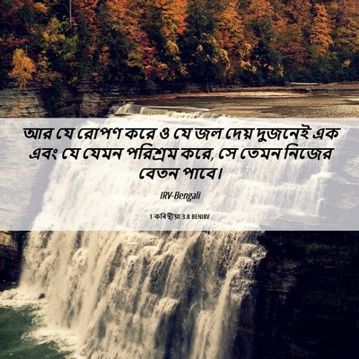 Picture 06 - 1 কৰিন্থীয়া 3:8 BENIRV - আর যে রোপণ করে ও যে - Bible Verse Picture