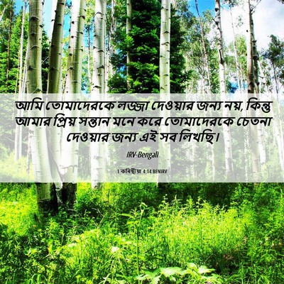 Picture 06 - 1 কৰিন্থীয়া 4:14 BENIRV - আমি তোমাদেরকে - Bible Verse Picture