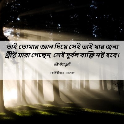 Picture 06 - 1 কৰিন্থীয়া 8:11 BENIRV - তাই তোমার জ্ঞান - Bible Verse Picture