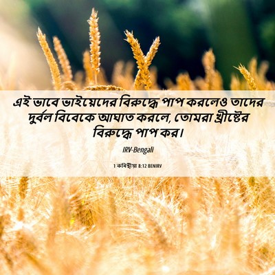 Picture 06 - 1 কৰিন্থীয়া 8:12 BENIRV - এই ভাবে ভাইয়েদের - Bible Verse Picture