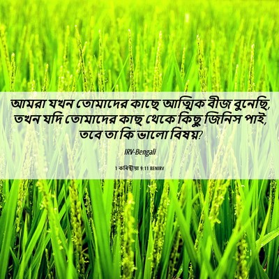 Picture 06 - 1 কৰিন্থীয়া 9:11 BENIRV - আমরা যখন তোমাদের - Bible Verse Picture