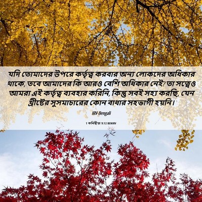 Picture 06 - 1 কৰিন্থীয়া 9:12 BENIRV - যদি তোমাদের উপরে - Bible Verse Picture