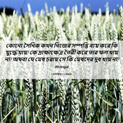 Picture 06 - 1 কৰিন্থীয়া 9:7 BENIRV - কোনো সৈনিক কখন - Bible Verse Picture
