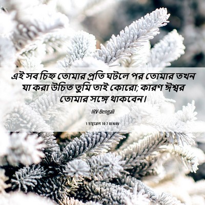 Picture 06 - 1 চমূৱেল 10:7 BENIRV - এই সব চিহ্ন তোমার - Bible Verse Picture