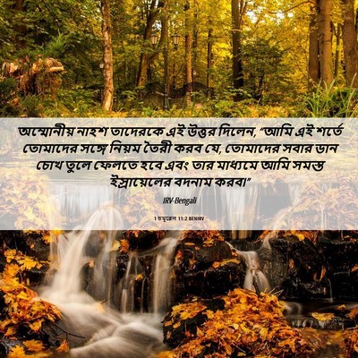 Picture 06 - 1 চমূৱেল 11:2 BENIRV - অম্মোনীয় নাহশ - Bible Verse Picture