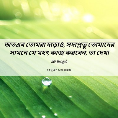 Picture 06 - 1 চমূৱেল 12:16 BENIRV - অতএব তোমরা দাড়াও; - Bible Verse Picture
