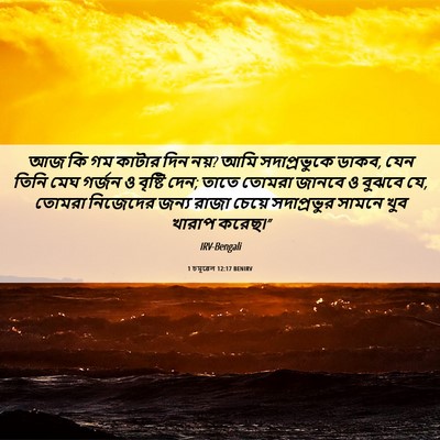 Picture 06 - 1 চমূৱেল 12:17 BENIRV - আজ কি গম কাটার দিন - Bible Verse Picture